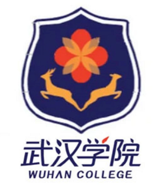 武汉学院